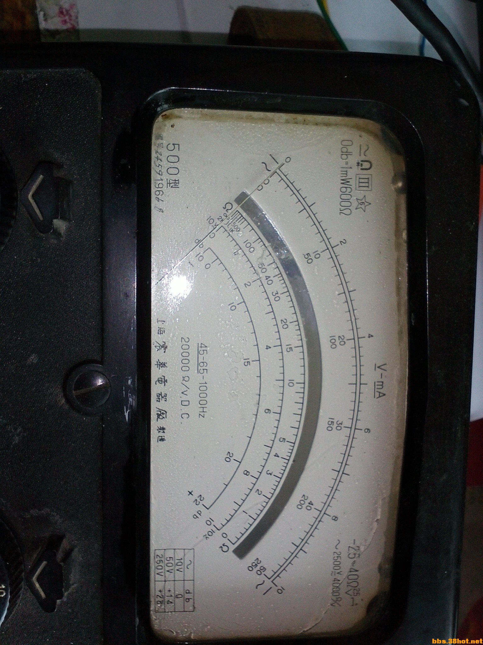 IMG751.jpg