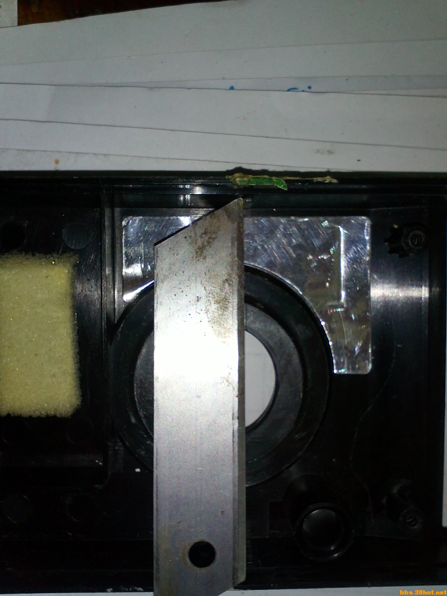 IMG787.jpg