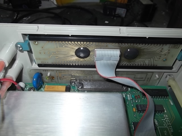 DSCF1196.JPG