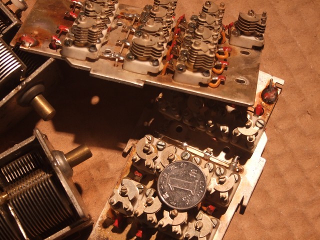 DSCF7354.jpg
