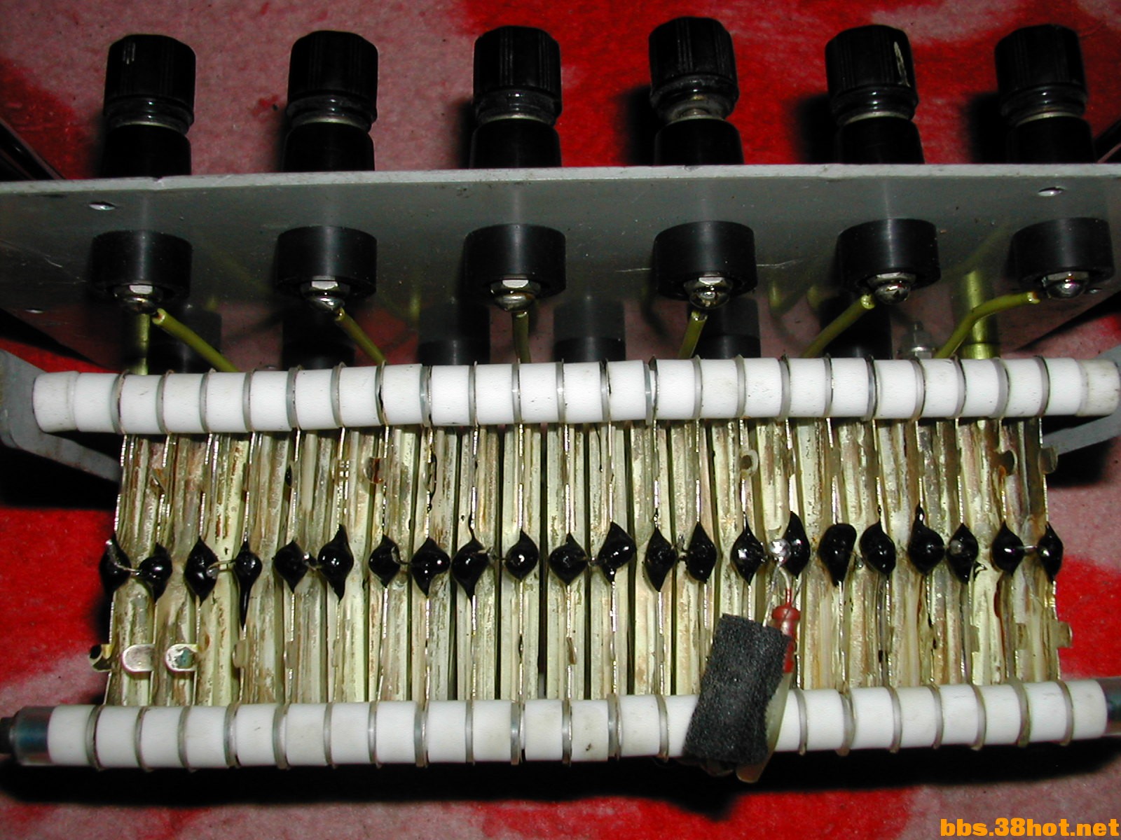 DSCN8945.JPG