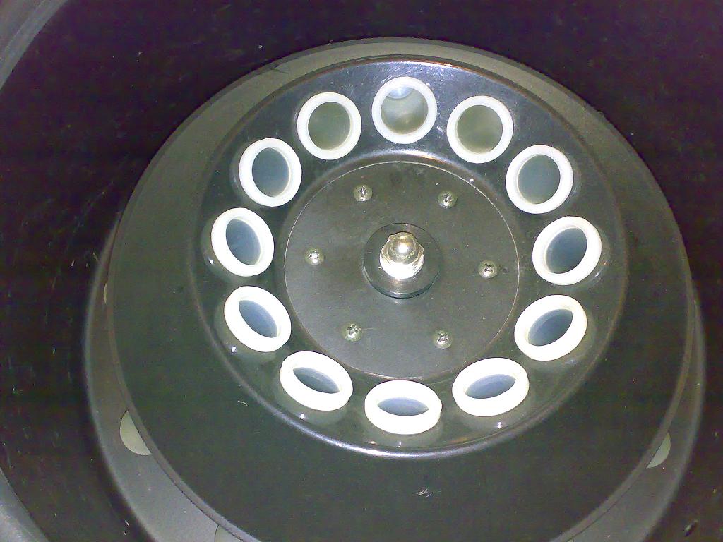 201505041791.jpg