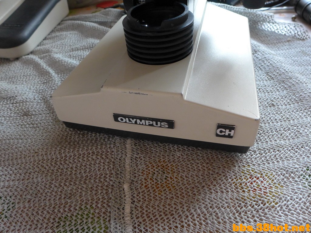 P1020433.JPG