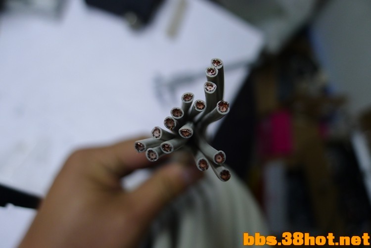 P1010101.JPG