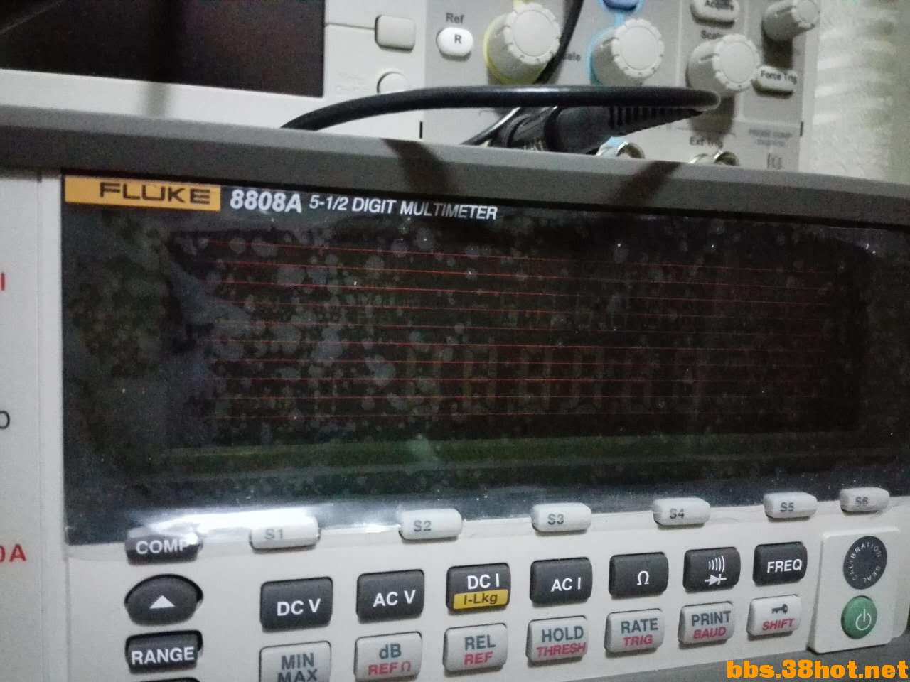 8808.jpg