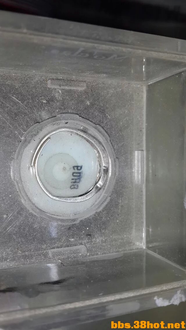 ӳ