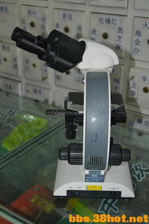 DSC_1211.JPG