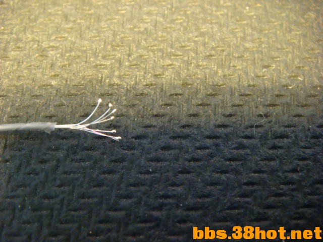 DSC00543.JPG