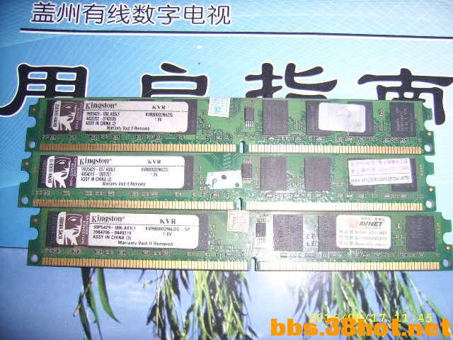 SSA50019.JPG