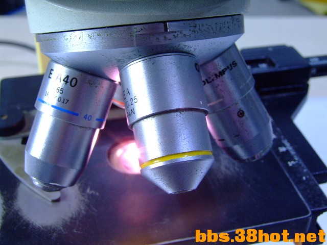 DSCF5067.JPG