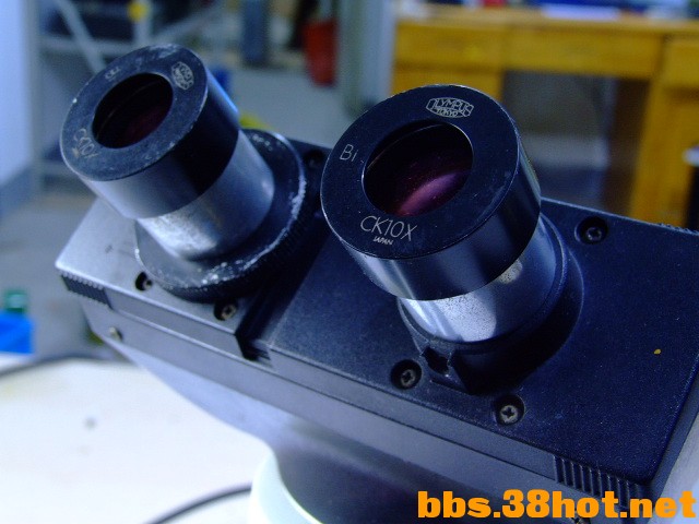 DSCF5070.JPG