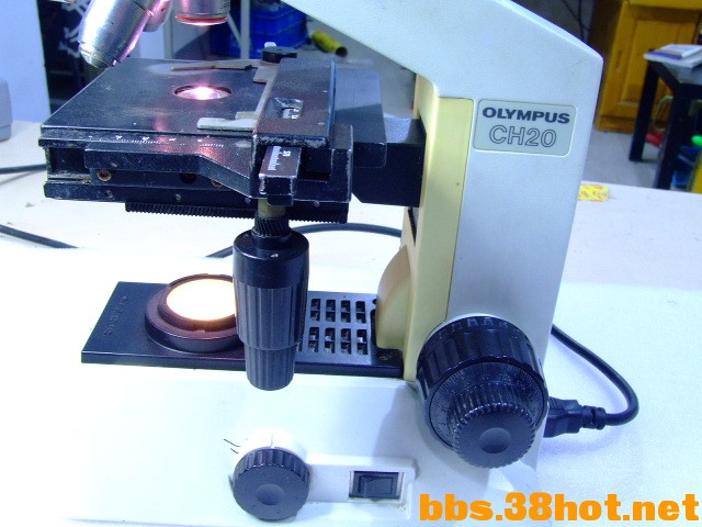 DSCF5072.JPG
