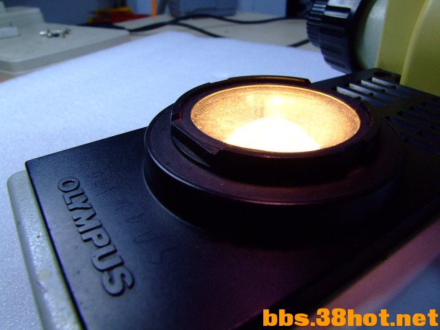DSCF5073.JPG