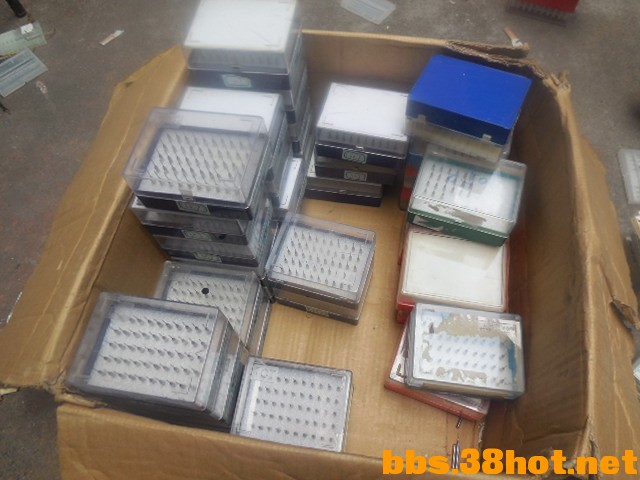 DSCN7106.JPG