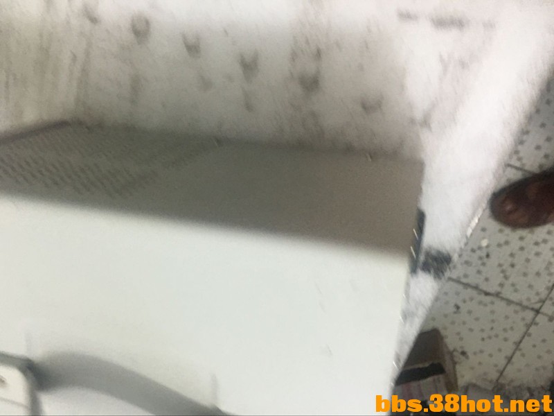 0975F1EAF4B3F840268FCD4AE0A7E489_.jpg