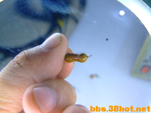 DSCF6886.JPG