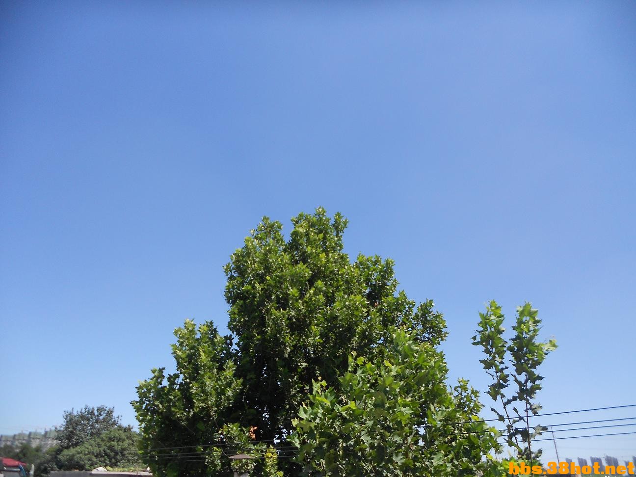 Ƭ 019.jpg