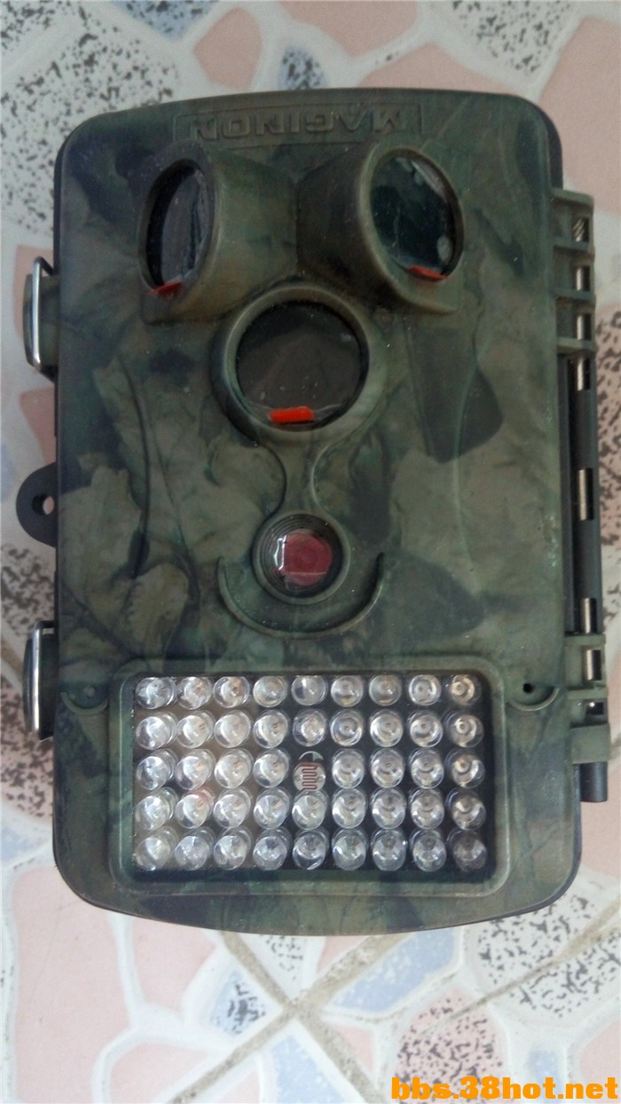 P60830-144153.jpg