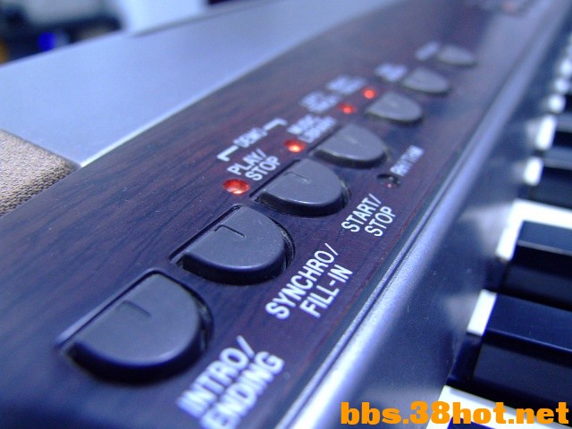 DSCF7207.jpg