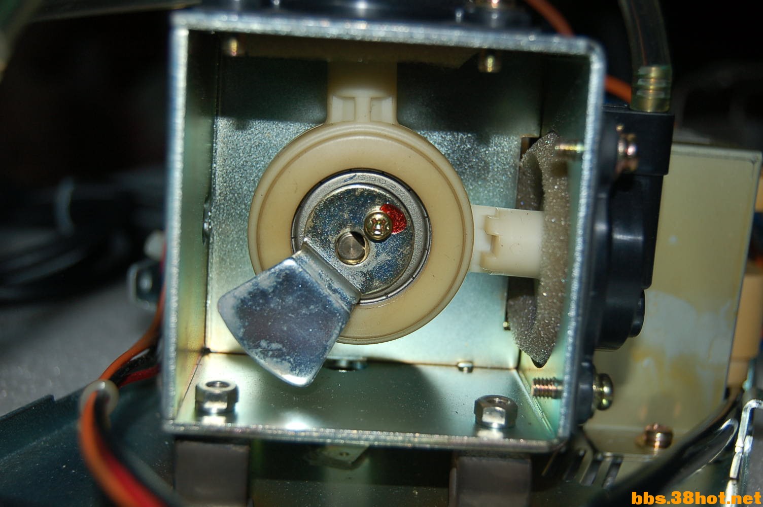 DSC_4673.JPG