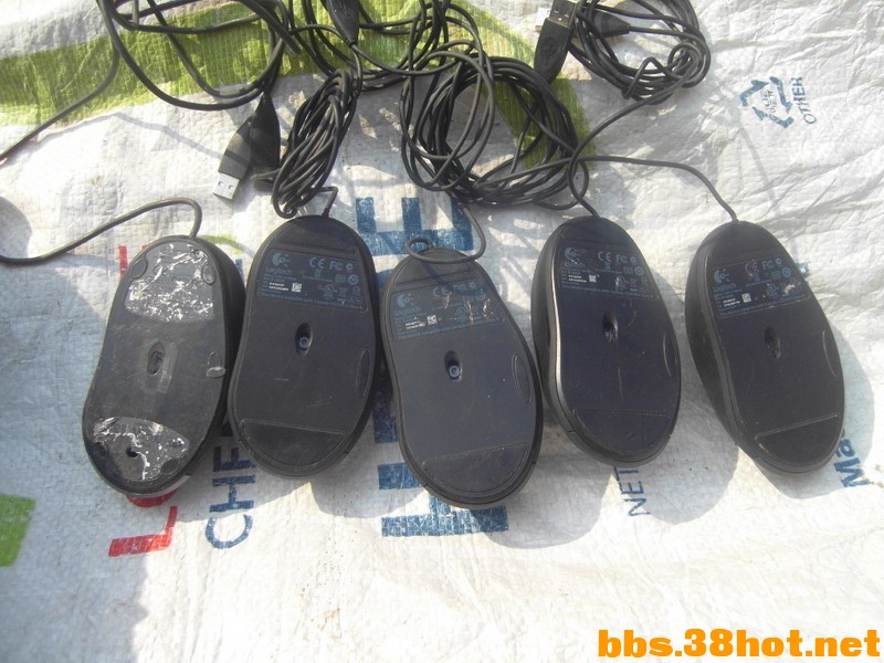 SDC12061.JPG
