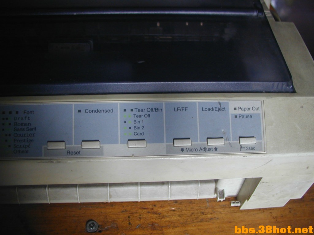 P1010003.JPG