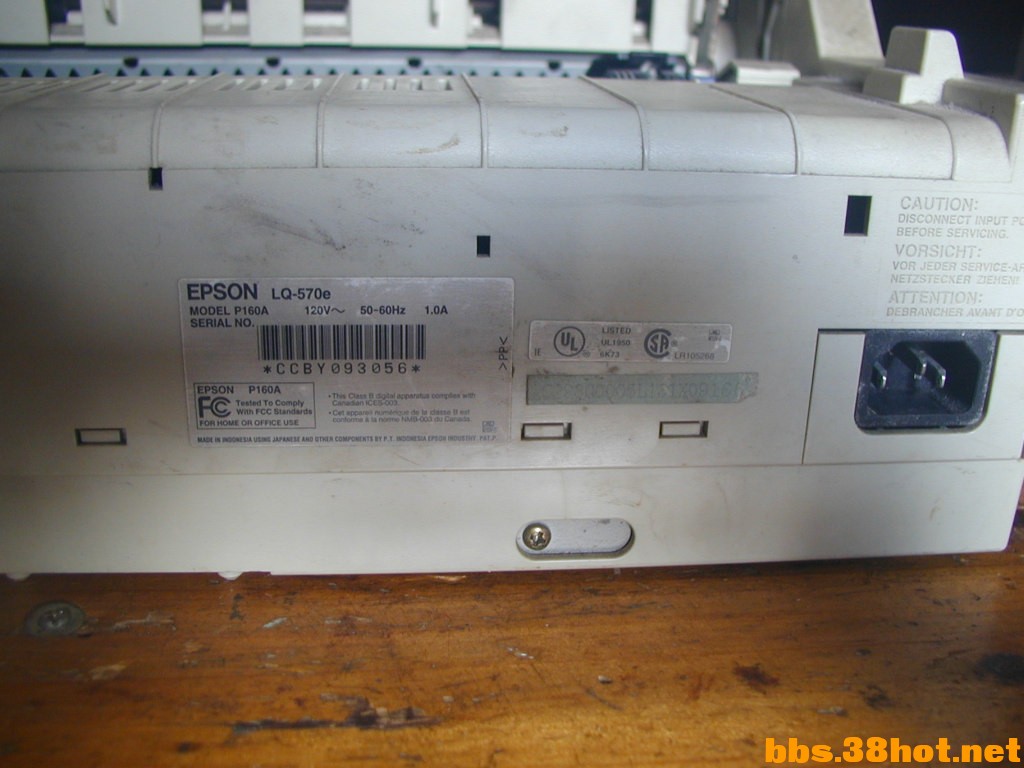 P1010005.JPG