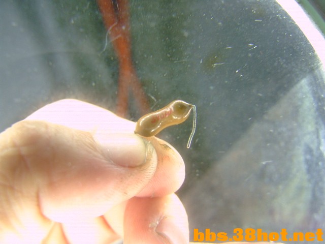 DSCF7912.JPG