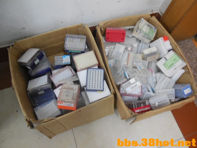 DSCN7381.JPG
