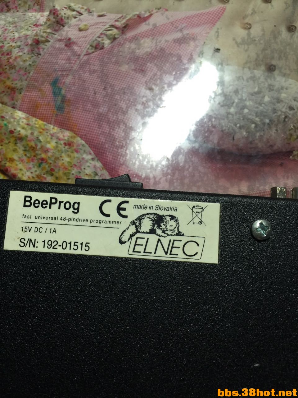 58893157.jpg