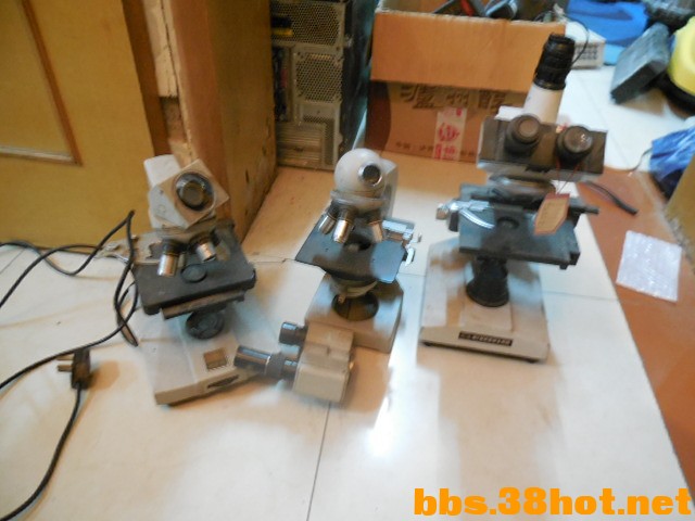 DSCN7470.JPG