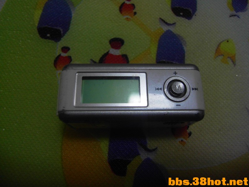 SDC12459.JPG