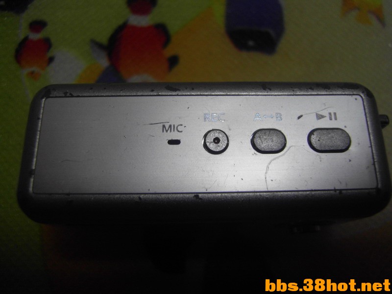 SDC12462.JPG