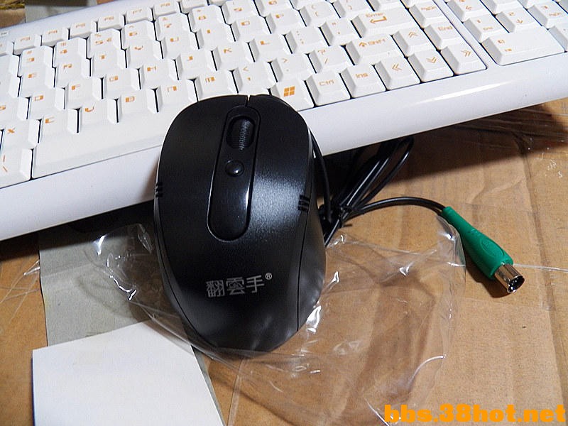 100_0205.JPG