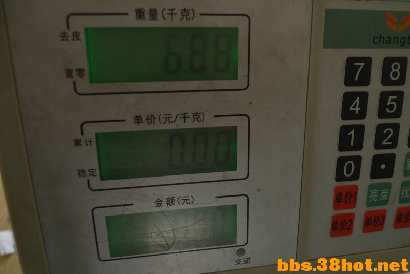 P1300858_.jpg