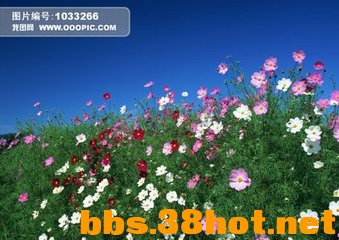 t0192cbdf0300440ab2.jpg