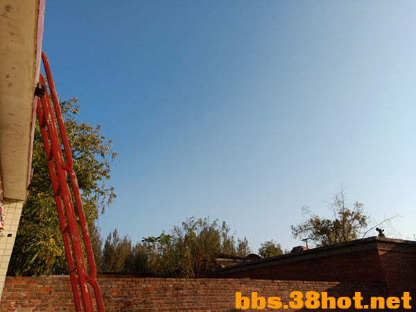 IMG20211026152045.jpg