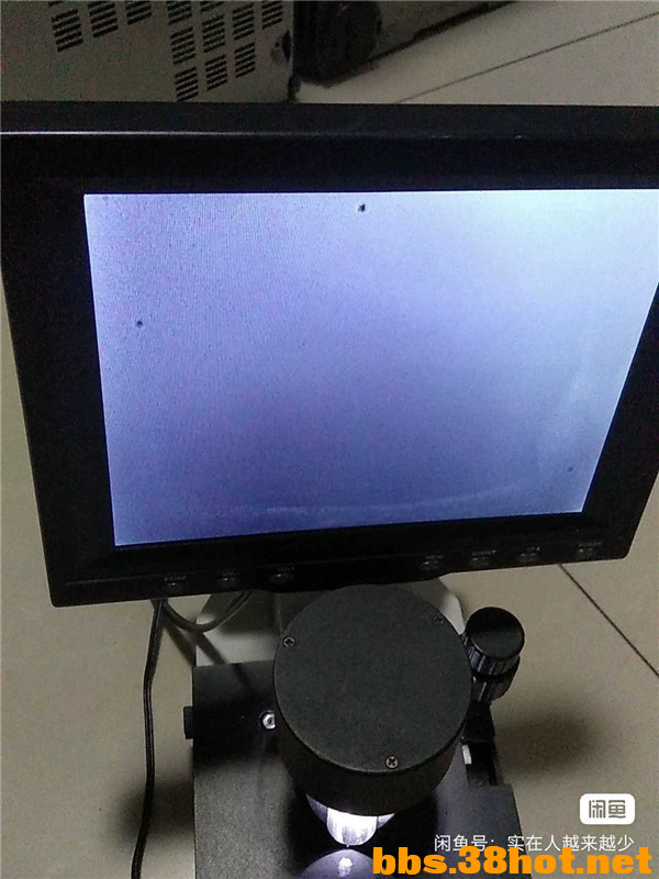1704024565263.jpg