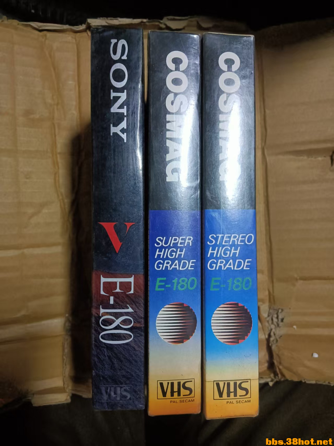 mmexport1740310082398.jpg