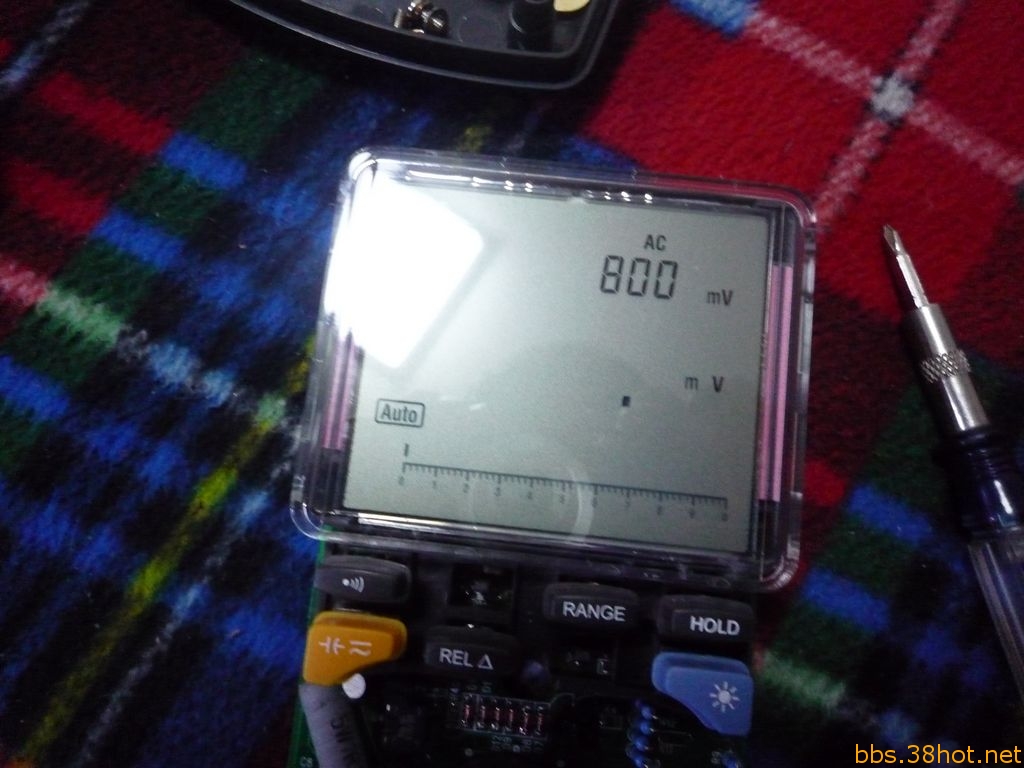P1020504.jpg