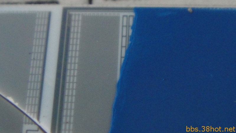 DSC02841.JPG
