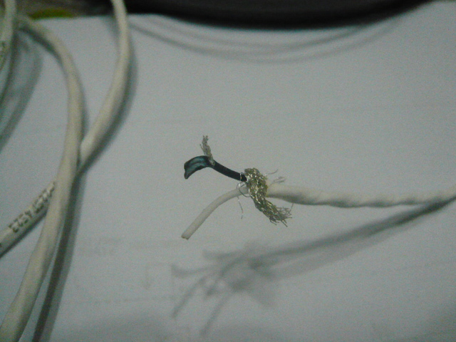 P1030605.JPG