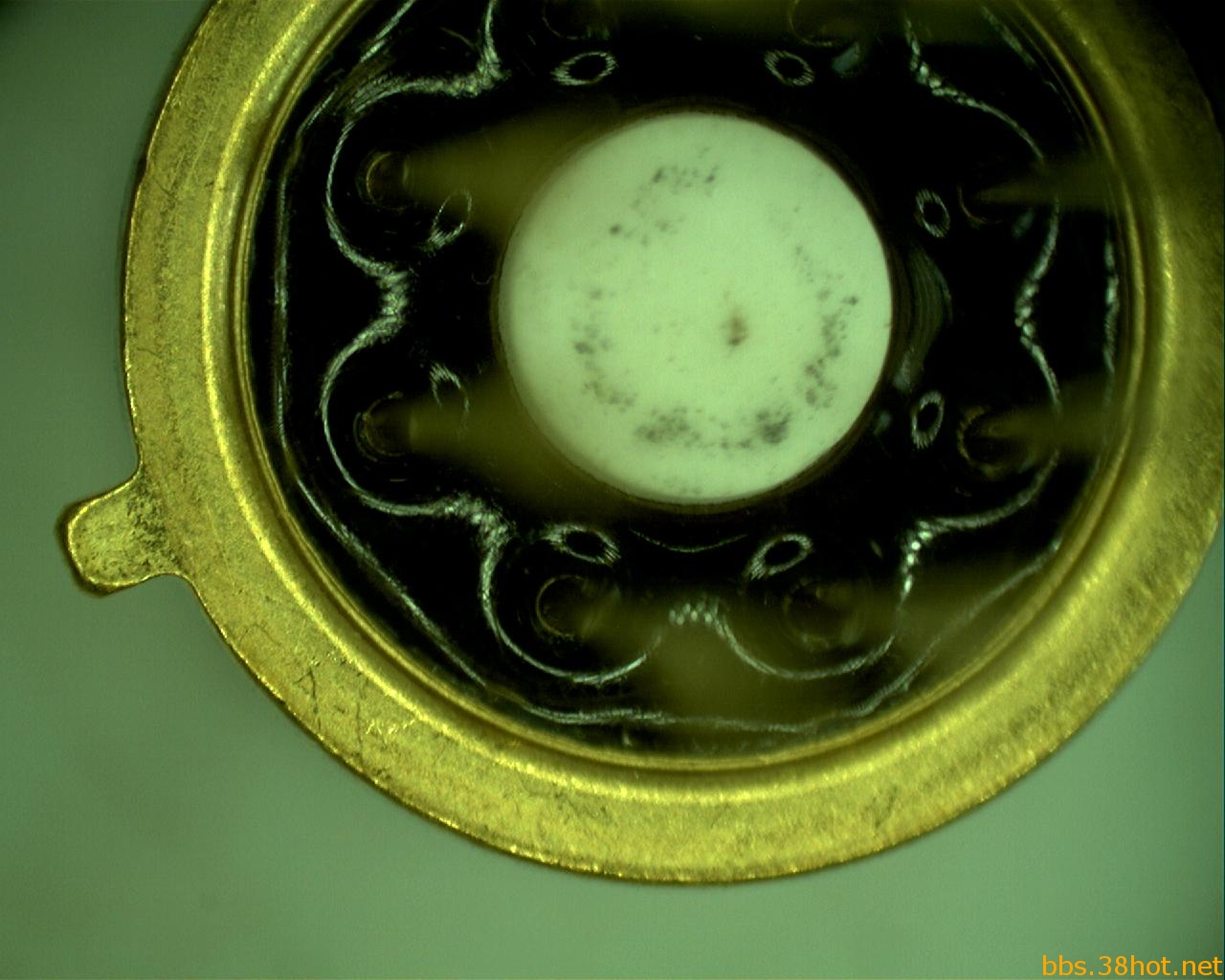 capture5.JPG