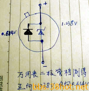 589.jpg